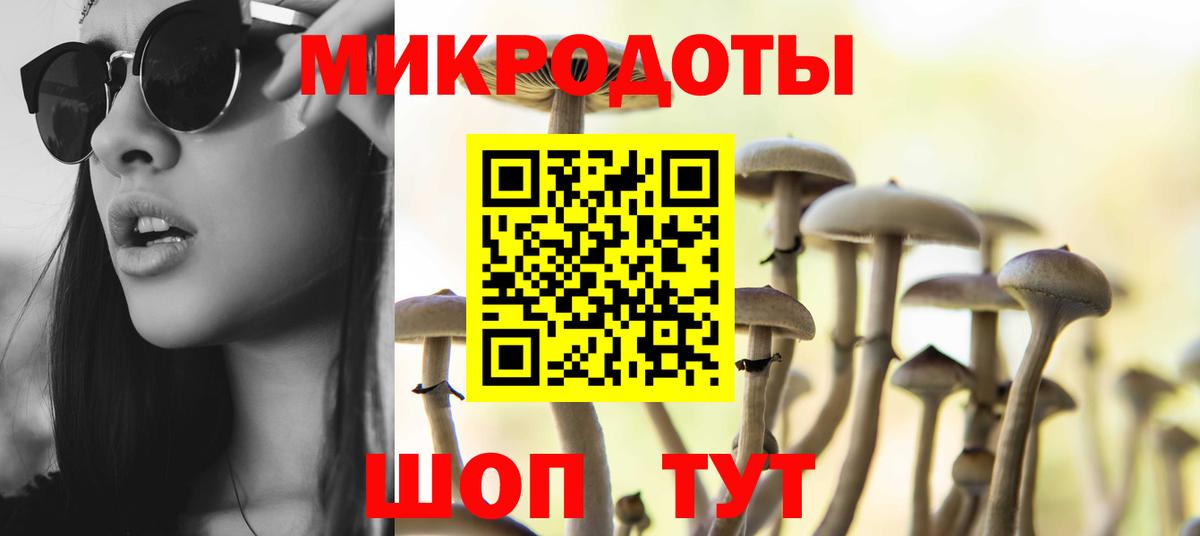 Галлюциногенные грибы Psilocybe Фролово